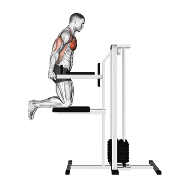 How to do Kneeling Assisted Chest Dip — animated demonstration