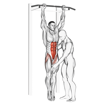 How to do Assisted Hanging Knee Raise — animated demonstration