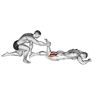 How to do Assisted Prone Hamstring — animated demonstration