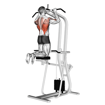 How to do Assisted Pull-Up — animated demonstration