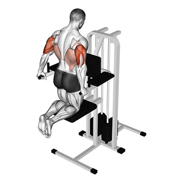 How to do Kneeling Assisted Triceps Dip — animated demonstration