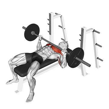 How to do Barbell Bench Press — animated demonstration