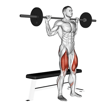How to do Barbell Bench Squat — animated demonstration