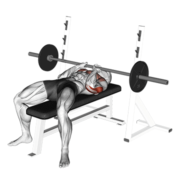 How to do Barbell Close-Grip Bench Press — animated demonstration
