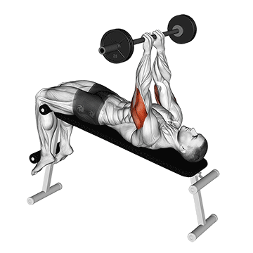 How to do Decline Close-Grip Barbell Skull Press — animated demonstration