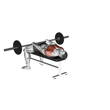 How to do Barbell Front Raise and Pullover — animated demonstration