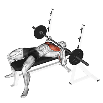 How to do Barbell Guillotine Bench Press — animated demonstration