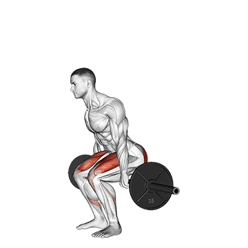 How to do Barbell Hack Squat — animated demonstration