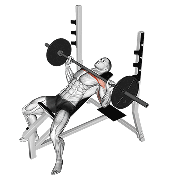 How to do Barbell Incline Bench Press — animated demonstration