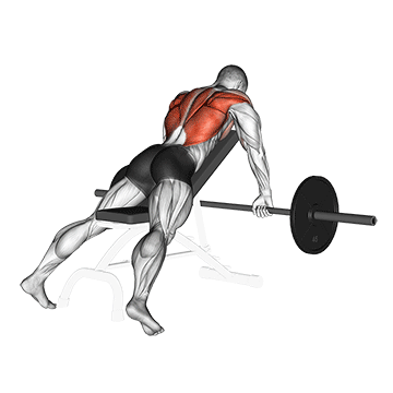 How to do Barbell Incline Row — animated demonstration