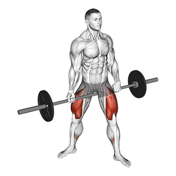 How to do Barbell Jefferson Squat — animated demonstration