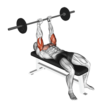 How to do Barbell JM Bench Press — animated demonstration