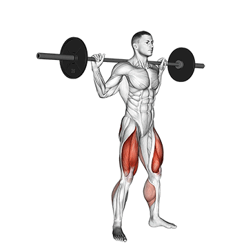 How to do Barbell Jump Squat — animated demonstration