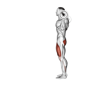 How to do Barbell Lunge — animated demonstration