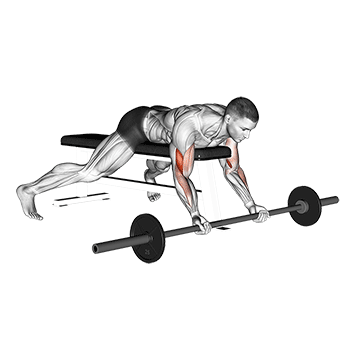 How to do Barbell Lying Preacher Curl — animated demonstration