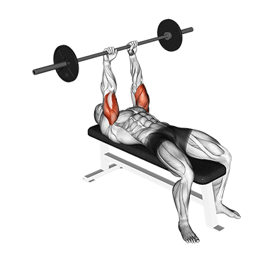 How to do Barbell Lying Triceps Extension — animated demonstration