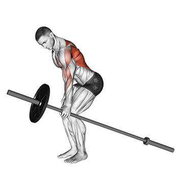How to do Barbell Single-Arm Bent-Over Row — animated demonstration