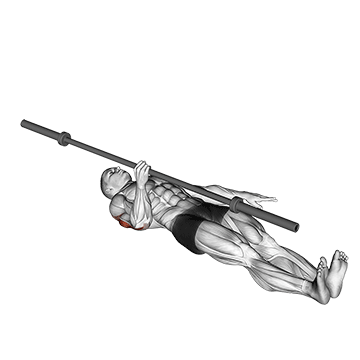 How to do Barbell Single-Arm Floor Press — animated demonstration