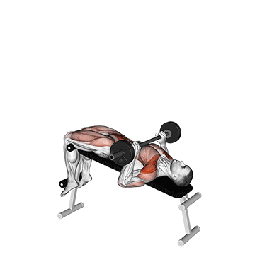 How to do Barbell Press Sit-Up — animated demonstration