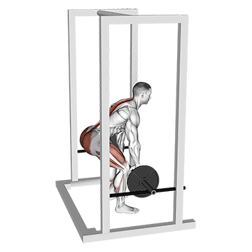 How to do Barbell Rack Pull — animated demonstration