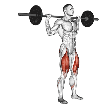 How to do Barbell Rear Lunge — animated demonstration