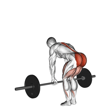 How to do Barbell Romanian Deadlift — animated demonstration