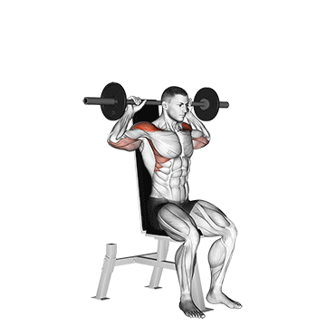 How to do Barbell Seated Bradford Rocky Press — animated demonstration