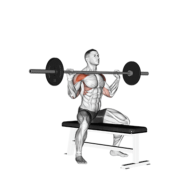 How to do Barbell Seated Overhead Press — animated demonstration