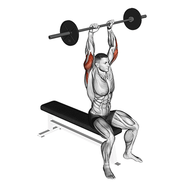How to do Barbell Seated Overhead Triceps Extension — animated demonstration