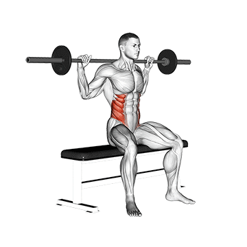 How to do Barbell Seated Twist — animated demonstration