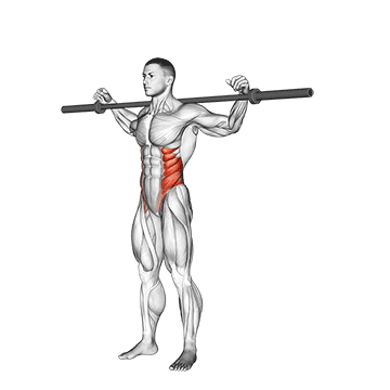 How to do Barbell Side Bent — animated demonstration