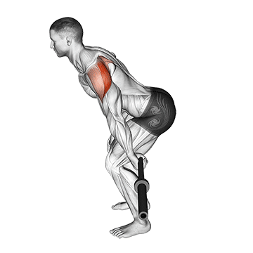 How to do Barbell Skier — animated demonstration