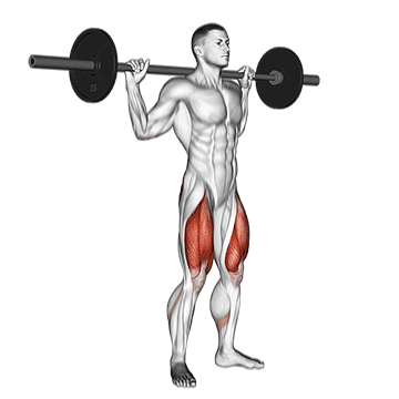 How to do Barbell Speed Squat — animated demonstration