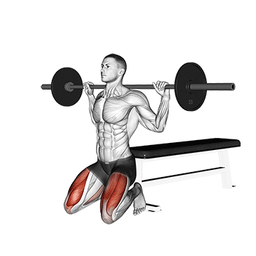 How to do Barbell Kneeling Squat — animated demonstration