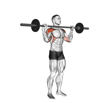 How to do Barbell Standing Bradford Press — animated demonstration
