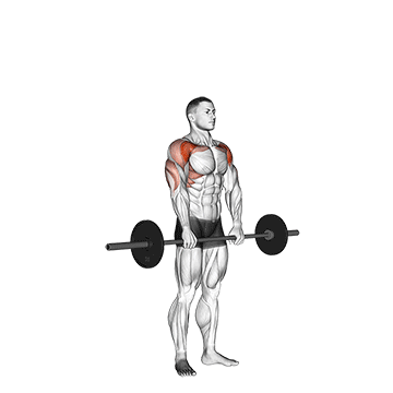 How to do Barbell Standing Front Raise Over Head — animated demonstration