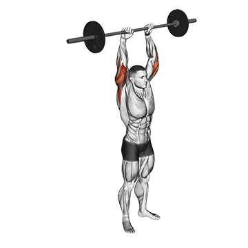 How to do Barbell Standing Overhead Triceps Extension — animated demonstration