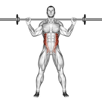 How to do Barbell Standing Twist — animated demonstration