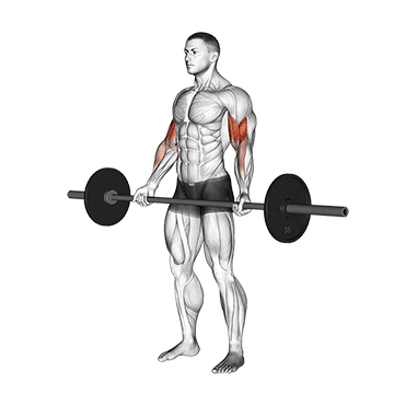How to do Barbell Wide-Grip Reverse Curl — animated demonstration
