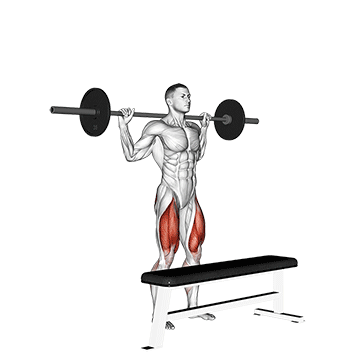 How to do Barbell Step-Up — animated demonstration