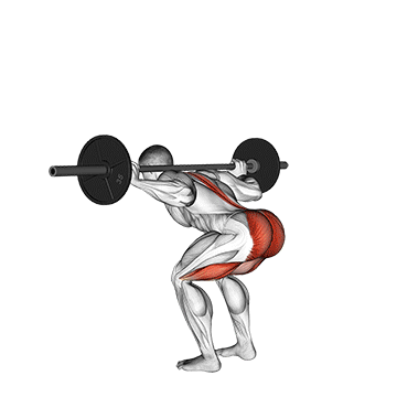 How to do Barbell Stiff Leg Good Morning — animated demonstration