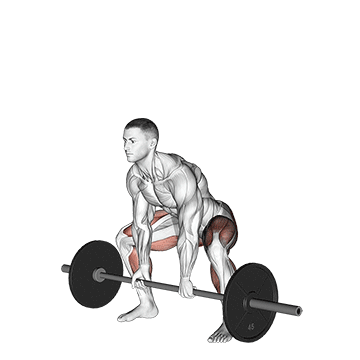 How to do Barbell Sumo Deadlift — animated demonstration