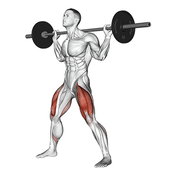 How to do Barbell Wide Squat — animated demonstration