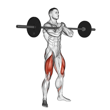 How to do Barbell Zercher Squat — animated demonstration