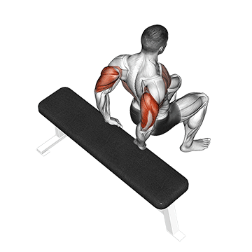 How to do Bent-Knee Bench Dip — animated demonstration