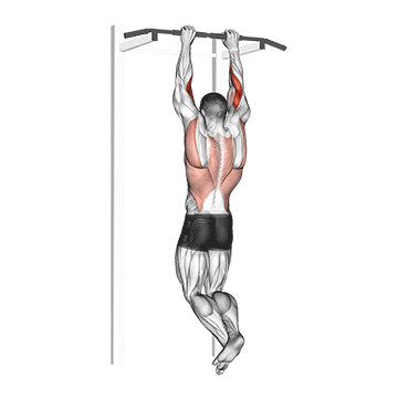 How to do Biceps Pull-Up — animated demonstration