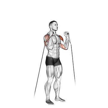 How to do Cable Alternating Shoulder Press — animated demonstration