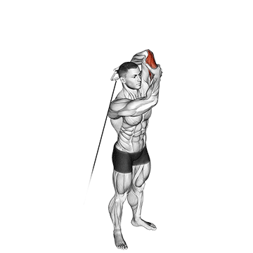 How to do Cable Alternating Triceps Extension — animated demonstration