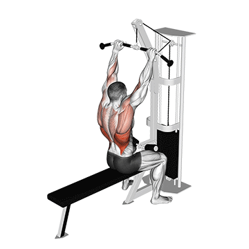 How to do Cable Lat Pulldown (Bar) — animated demonstration