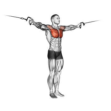 How to do Mid-Pulley Cable Crossover — animated demonstration